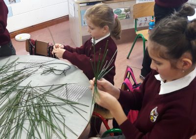 St. Brigid’s Day Crosses