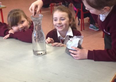 Science Day – Having Fun