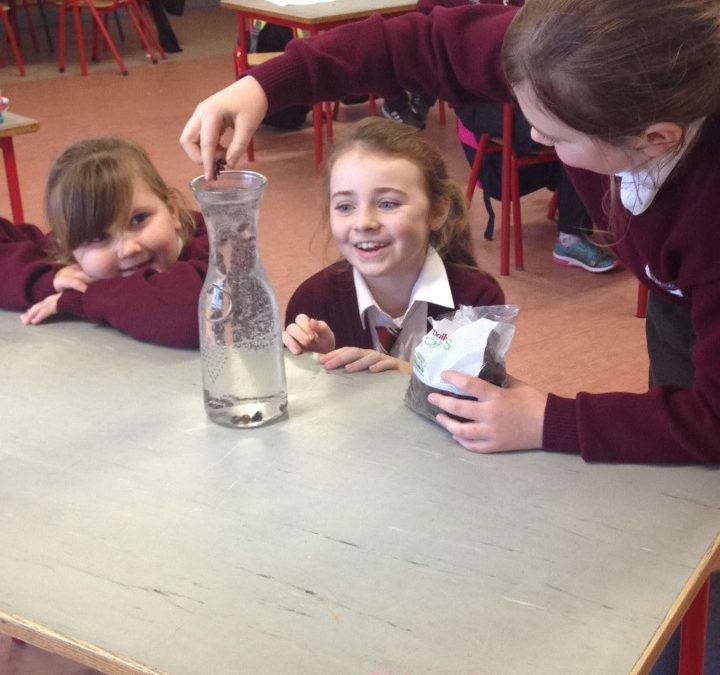 Science Day – Having Fun