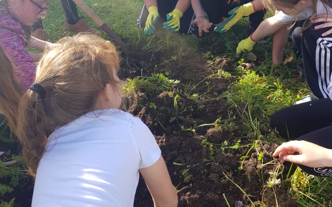 Making Soup and digging in the garden